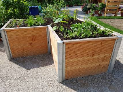 Raised bed of herbs Vegetables raised bed Herbs Vegetables