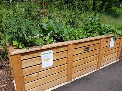 Raised bed of herbs Vegetables raised bed Herbs Vegetables