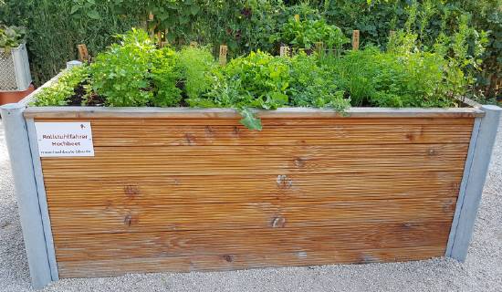 Raised bed of herbs Vegetables raised bed Herbs Vegetables