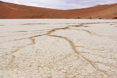Africa Namibia Sossusvlei Deadvlei Dead Acacia Trees
