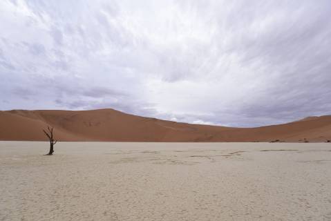 Africa Namibia Sossusvlei Deadvlei Dead Acacia Trees