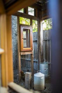 A backyard chicken coop in Austin, Texas houses a handful of chickens and provides daily eggs for a family., Austin Texas USA model released Symbolfoto Copyright: MichaelxHanson HAMI001590
