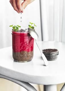 Woman s hands sprinkling glass of rhubarb and chia seeds dessert with dark chocolate nibs model released Symbolfoto  RAMAF00104
