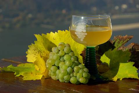 IMAGO Creative, Sommer, Weinfeste und Weinwanderungen federweißer - new wine 11  Copyright: xLianeMx Panthermedia01596341