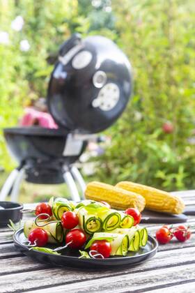 Grilled vegetarian grill skewers, tomato, sheep cheese and zucchini slices  SARF03941