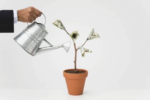 Businessman watering potted money tree, cropped  Copyright: AlexVentura B29723628