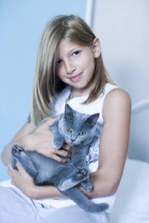 Girl holding Russian Blue, portrait  Copyright: Anne-SophiexBost B35650427