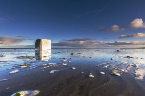 News Bilder des Tages angeschwemmter Kuehlschrank im Watt nach dem Verlust von Containern der MSC Zoe in Sturm auf der Nordsee, Niederlande, Friesland, Wierum washed up freezer in the wadden sea after lost of a container pf the cargoship MSC Zoe during a storm on the North Sea, Netherlands, Frisia, Wierum BLWS511494 Copyright: xblickwinkel AGAMI W.xLeursx
