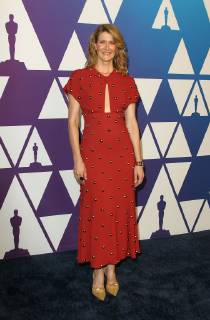 04 February 2019 - Los Angeles, California - Laura Dern. 91st Oscars Nominees Luncheon held at the Beverly Hilton in Beverly Hills. Photo Credit: AdMedia 234955 2019-02-05 CA Beverly Hills Etats-Unis  Copyright: xAdMediax STAR_234955_089