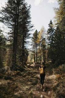 Switzerland, Engadin, woman on a hiking trip in forest model released Symbolfoto  LHPF00131