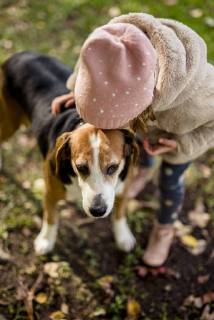 Little girl kissing dog in autumnal garden model released Symbolfoto property released  PSIF00125