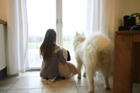 Back view of girl and her dog looking through French door model released Symbolfoto property released  ECPF00282