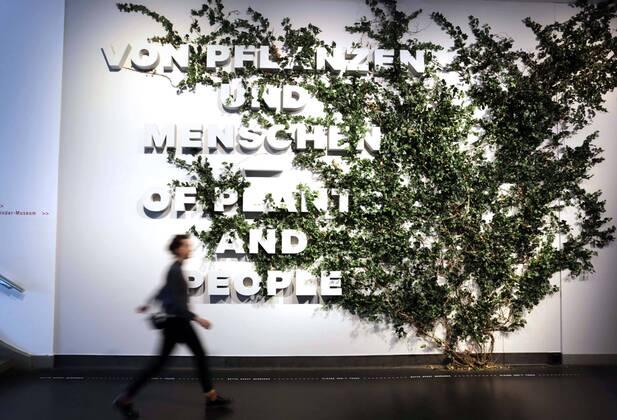 On Friday 19 04 2019, the Deutsche Hygiene Museum Dresden invites you to a tour of the green planet with a photo from 18 04 2019 The new exhibition is dedicated to the ambivalent relationship between man and the world of plants. The museum shared on Thursday with For the first time in the European museum landscape, Copyright: epd-bild MatthiasxSchumann EDITORIAL USE ONLY