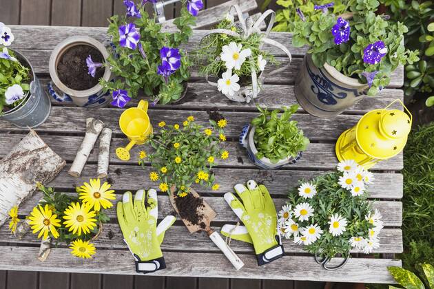 Different summer flowers and gardening tools on garden table property released  GWF05775