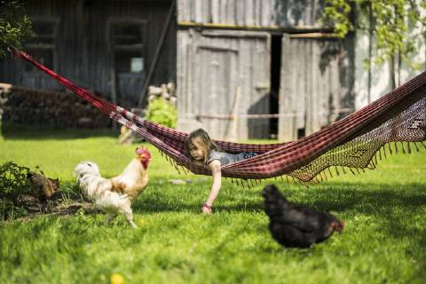 Girl relaxing in hammock in garden of a farm with chicken in foreground model released Symbolfoto property released  SBOF01699