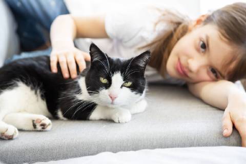 Little girl lying on couch with cat model released Symbolfoto property released  LVF07928
