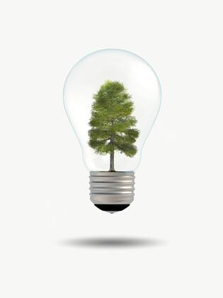 3D-Computergrafik, Baum in einer alten Gluehbirne - Energiesparen 3D computer graphic, tree within an old fashion light ball - energy saving BLWS532621 Copyright: xblickwinkel McPHOTO M.xGannx