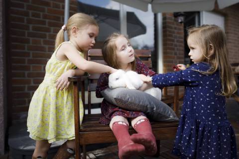 Three girls pettting a bunny model released Symbolfoto property released  KMKF00953