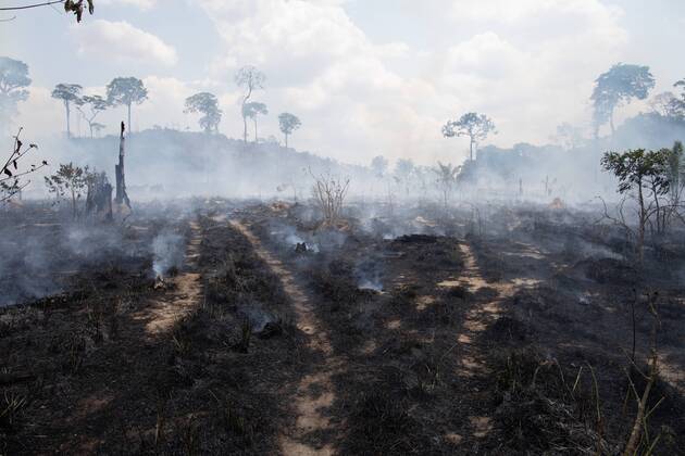 Waldbrände in Brasilien, Soldaten bei der Brandbekämpfung NOVO PROGRESSO, PA - 03.09.2019: SOLDIERS FIGHT FIRE IN NEW FRONTIER - Fire in the Nova Fronteira region, in Novo Progresso, Pará. Army arrived today in the municipality to help fight the fires. x1789343x  JoãoxLaet