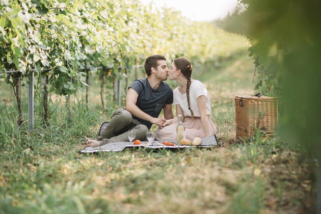 Kissing young couple having picnic in the vineyards model released Symbolfoto  ALBF01011