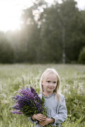 Portrait of blond little girl with bunch of lupines on a meadow model released Symbolfoto  EYAF00475