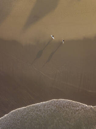 Aerial view of surfers at the beach Indonesia, Bali CR_KOTRIN191016E-220210-01