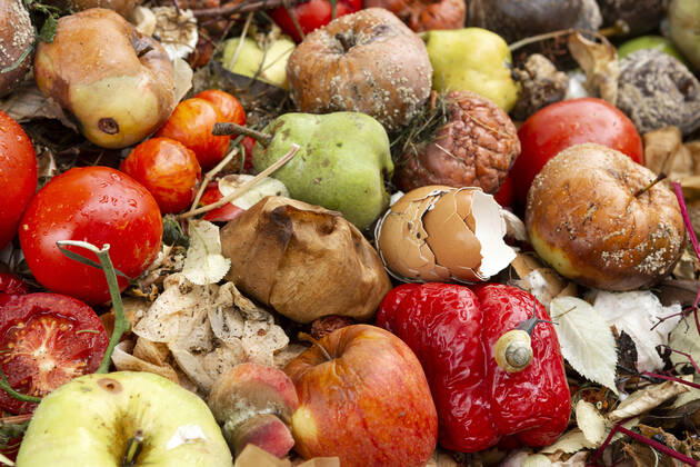 Disposed food, organic waste  1065518333
