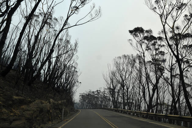 BUSHFIRES NSW, Burnt bushland from the Gospers Mountain fire along the Bells Line of Road in the Blue Mountains north west of Sydney, Tuesday, December 17, 2019. Fire conditions are expected to deteriorate over the coming days with Thursday and Saturday likely to experience severe fire conditions with temperatures in the 40 s and and strong north westerly winds.( NO ARCHIVING, EDITORIAL USE ONLY, NO USE IN BOOKS WITHOUT CONSENT Sydney NSW AUSTRALIA  Copyright: xDEANxLEWINSx 20191217001438315684