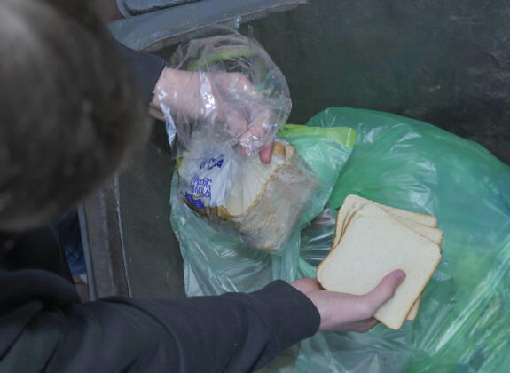Food, waste, garbage can, waste, rescue