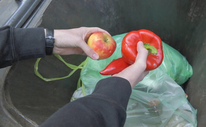 Food, waste, garbage can, waste, rescue