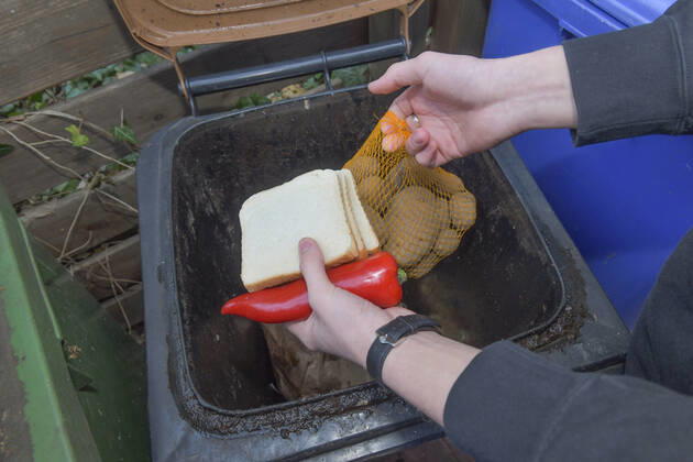 Food, waste, garbage can, waste, rescue