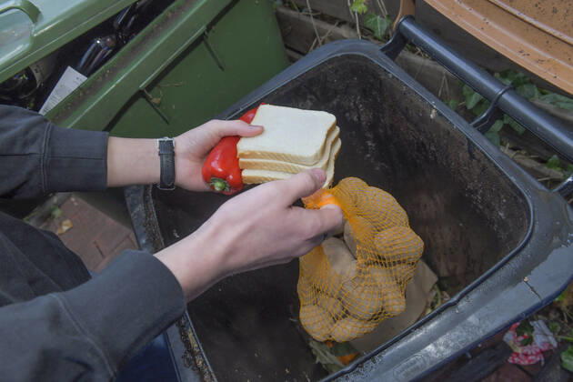 Food, waste, garbage can, waste, rescue