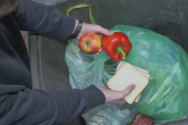 Food, waste, garbage can, waste, rescue