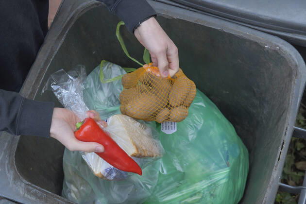 Food, waste, garbage can, waste, rescue