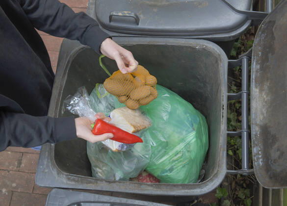 Food, waste, garbage can, waste, rescue