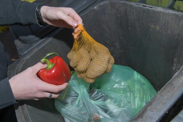 Food, waste, garbage can, waste, rescue