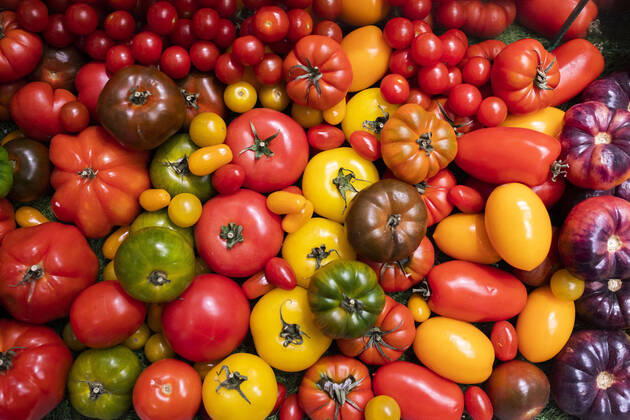 Vegetables, recorded in Berlin, 24 01 2020 Berlin Germany Copyright: xFlorianxGaertner photothek.netx