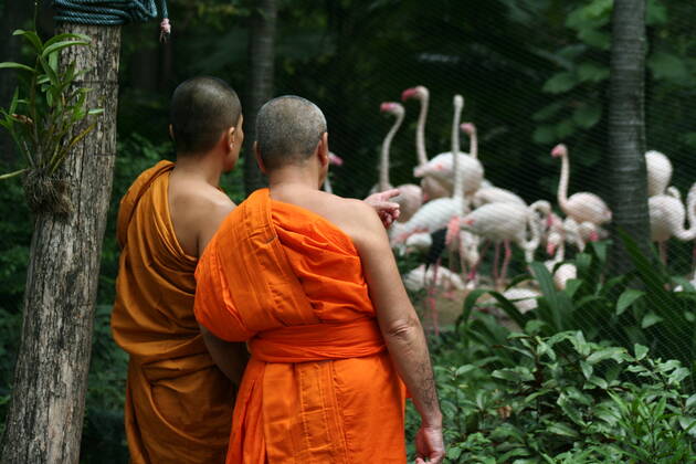 Thailand Thailand  Copyright: xMariuszxPrusaczykx 1030898