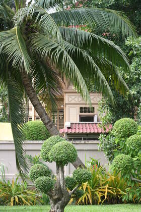 Thailand Thailand  Copyright: xMariuszxPrusaczykx 1030940