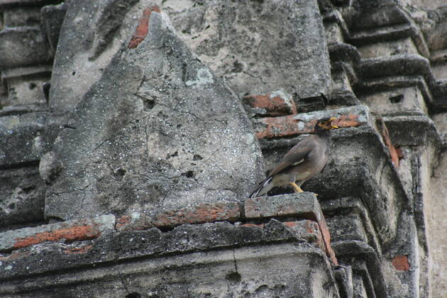 Thailand Thailand  Copyright: xMariuszxPrusaczykx 1030982