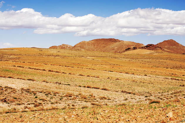 Barley growing near a Berber village in the Anti Atlas mountains of Morocco, North Africa. In recent years, rainfall totals have reduced by around 75% as a result of climate change. This has Tafraoute, Souss-Massa, Morocco CR_OQMH191212C-251075-01
