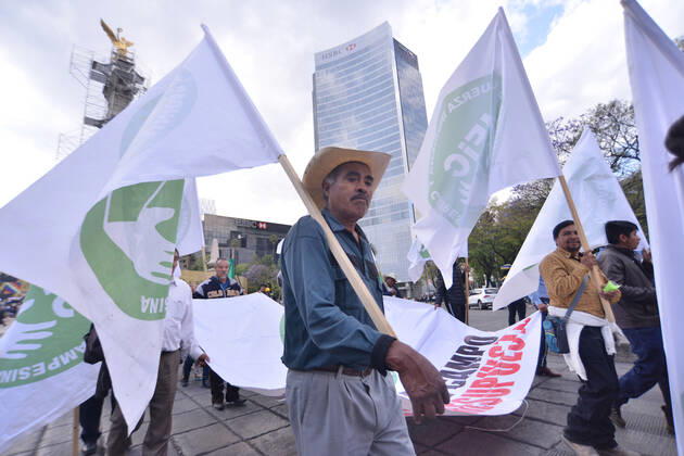 National Struggle Day protest in Mexico MEXICO CITY, MEXICO - JANUARY 31: Demonstrators take part during a march called National Struggle Day to protest for labor equality and demand labor rights and demand a job stability program during the demonstration, integrants of Union of Telephone Operators of the Mexican Republic, National Workers Union, Mexican Union of Electricians, Independent Workers Union of the Autonomous Metropolitan University participating to demand from the Federal Government a change of economic, political and social course for the country; as well as a dialogue around the Alternative Nation Project. at Reforma Avenue on January 31, 2020 in Mexico City, Mexico Copyright: xCarlosxTischlerx EYE_6220