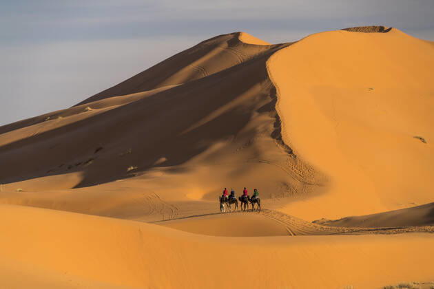 Kamel Karawane Kamel Karawane in der Wüste Sahara bei Merzouga, Marokko Camel caravan in the Sahara desert near Merzouga, Kingdom of Morocco, Africa