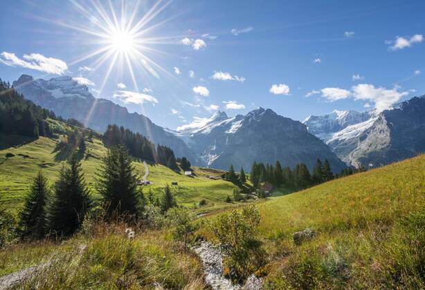 Mountain landscape in bright sunshine, behind snow-covered mountain peaks Schreckhorn, Wetterhorn and Eiger, Grindelwald, Bern, Switzerland, Europe Copyright: imageBROKER/MaraxBrandl ibxmab05095949.jpg