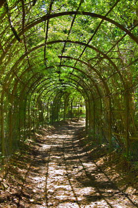 IMAGO Creative, Sommer, Schatten-Plätze bei Hitze archway in park archway in park in Sunny day in summer  Copyright: xforyouinfx 1545250