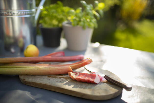 Board with knife and rhubarb on a ridge table Bonn Germany Copyright: xUtexGrabowsky photothek.netx