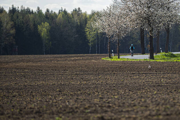 A woman riding her bike along a country road, taken in Wiesa, 14 04 2020 Wiesa Germany Copyright: xFlorianxGaertner photothek.netx