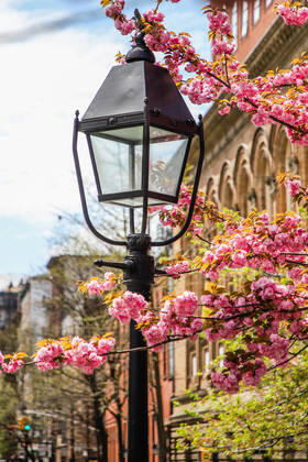 April 14, 2020, New York, NEW YORK, EUA: Movement in Washington Square Park in the spring of New York during the Coronavirus COVID-19 pandemic in the United States. New York USA - ZUMAc233 20200414_zsp_c233_093 Copyright: xVanessaxCarvalhox