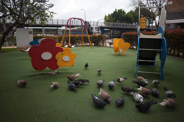 April 16, 2020, Malaga, Spain: Pigeons enjoying the closed park during the covid-19 crisis..Following the confinement decreed by the Spanish government and will extended until 10th May, people are confinement in their homes causing an exceptional situation of unusual urban scenes such as empty streets. Malaga Spain - ZUMAs197 20200416_zaa_s197_052 Copyright: xJesusxMeridax