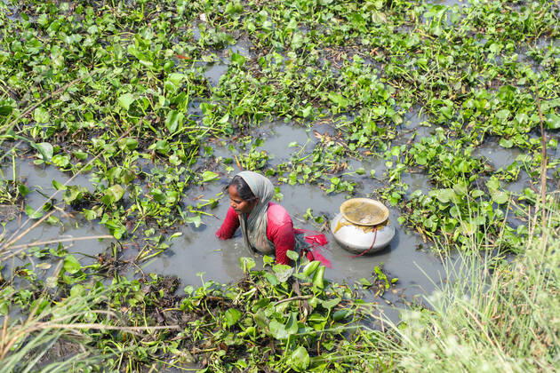 Finding alternative ways of earn amid COVID-19 Many people who have already lost their jobs during the nationwide complete lockdown, are now looking for the alternative ways to earn money. Today almost hundreds of fishermen (Some of them were from different professions) observed in a canal, who were catching small fishes to sell them in the markets to earn money. Kolkata West Bengal India Copyright: JitxChattopadhyay